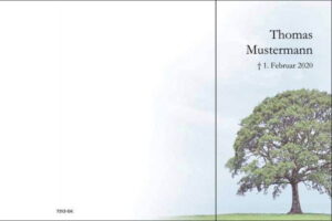 DK_Baum_Aussen-c6424eba