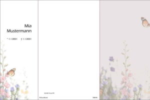 Schmetterling_Aussen-a4acc635