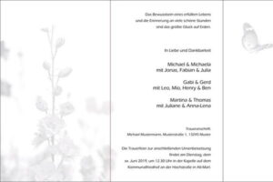 Schmetterling_Innen-b71b387a